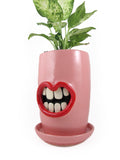 Pink mouth planter