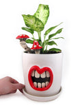 White Mouth Planter