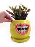 Yellow mouth Planter
