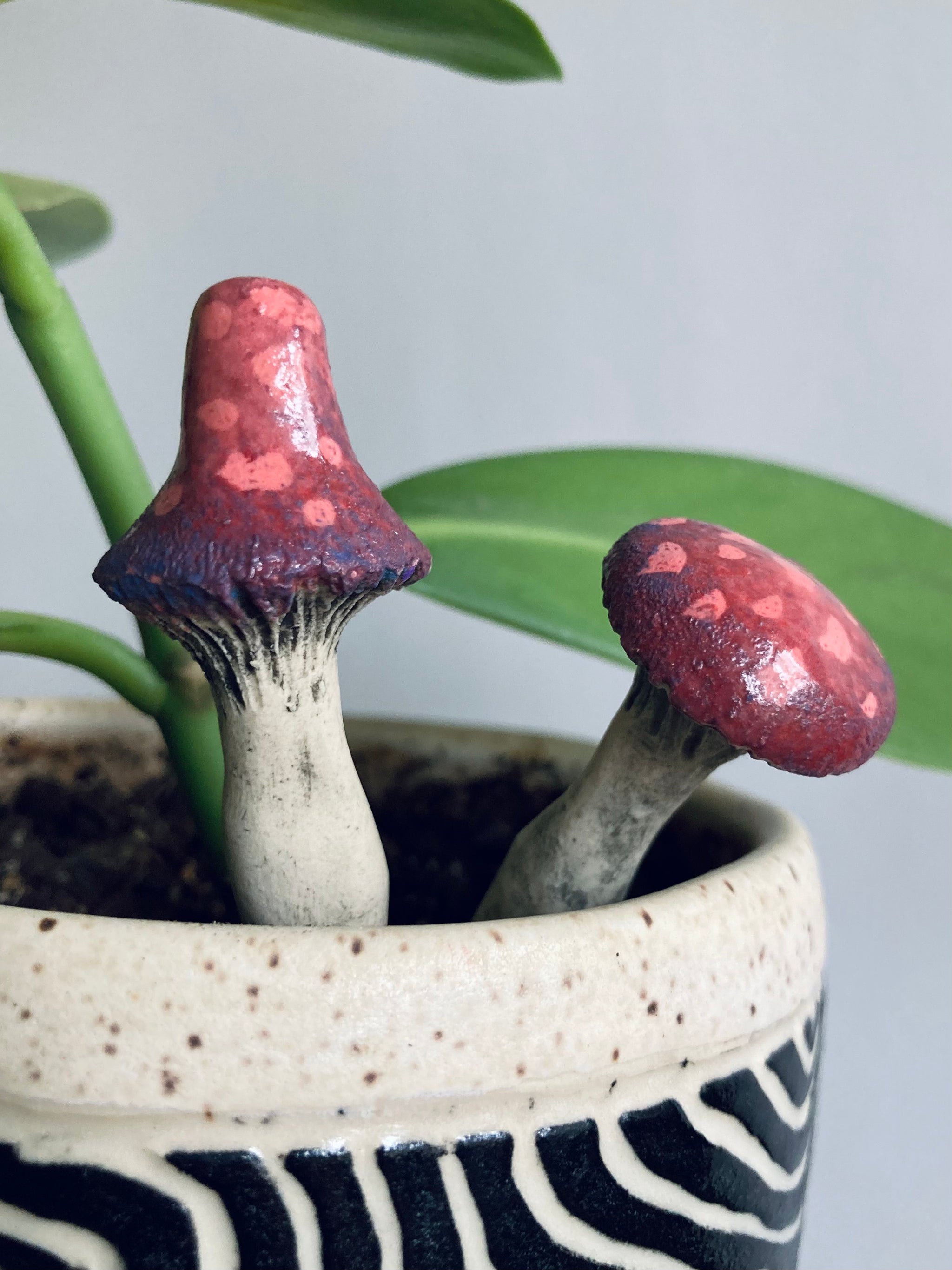 Mushrooms – Claybrook Pottery