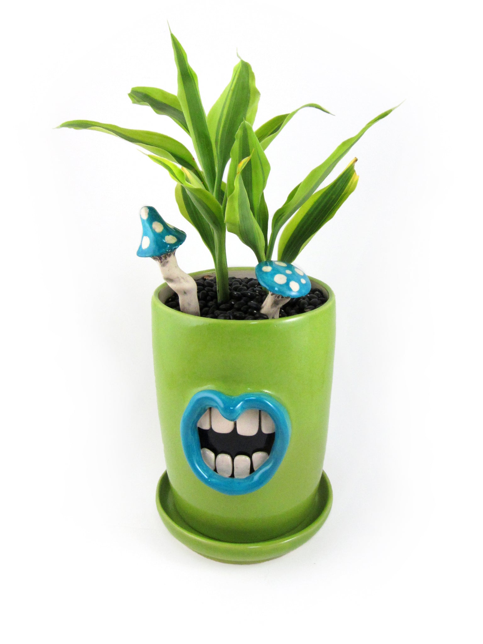 mouth plant pot Green mouth Planter – Claybrook Pottery