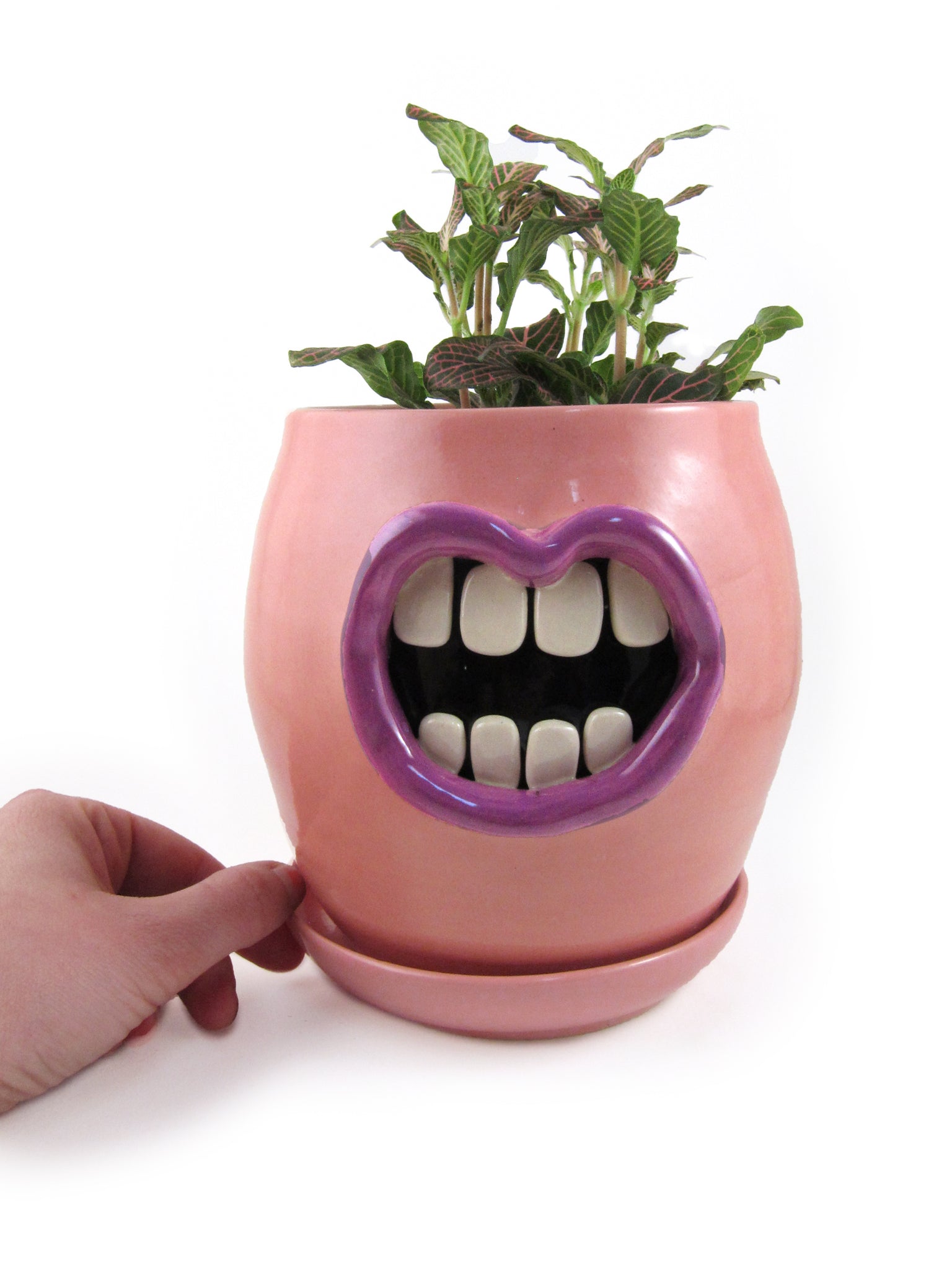 mouth plant pot Pink Mouth Planter – Claybrook Pottery