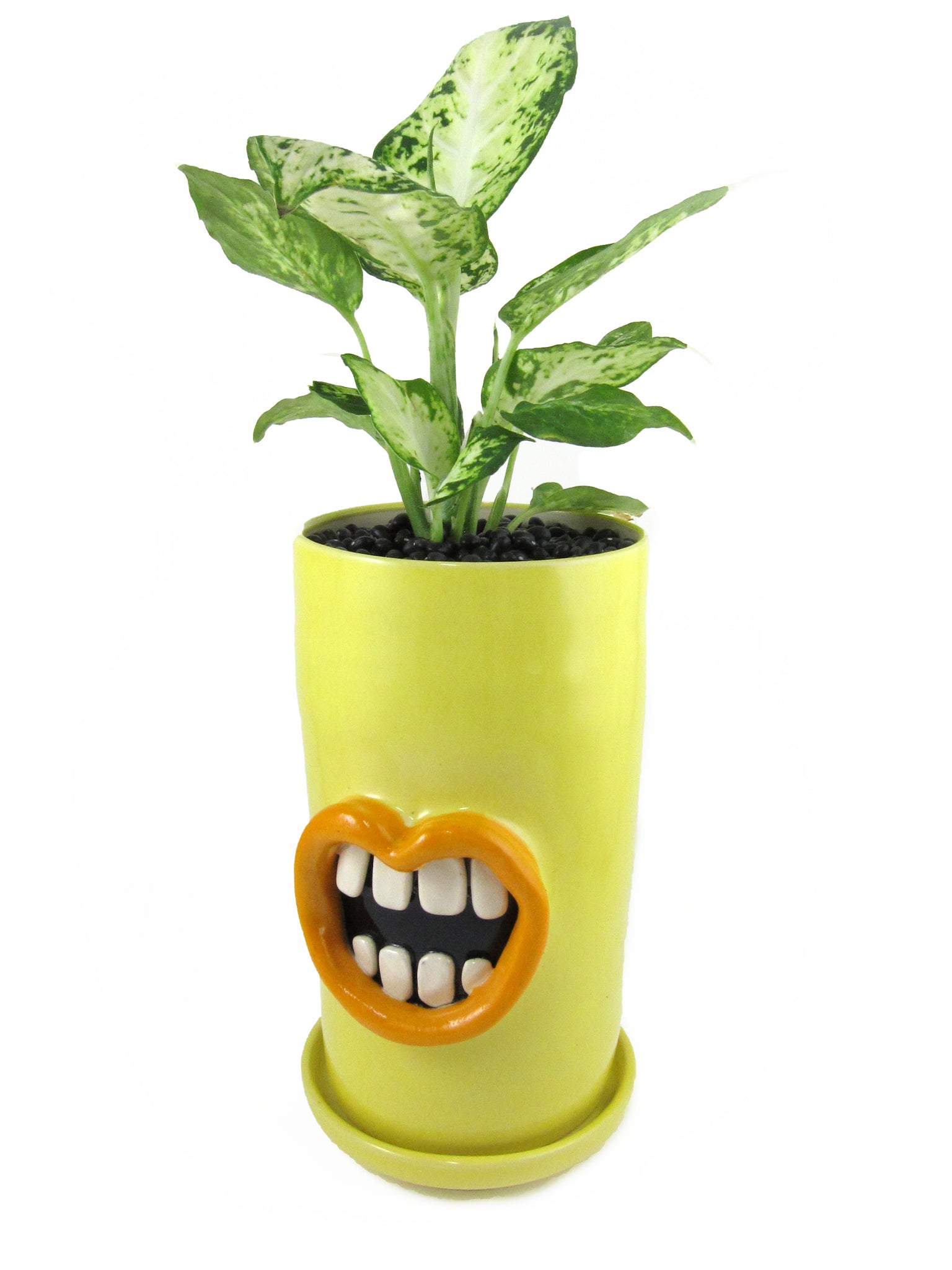 mouth plant pot Yellow mouth planter – Claybrook Pottery