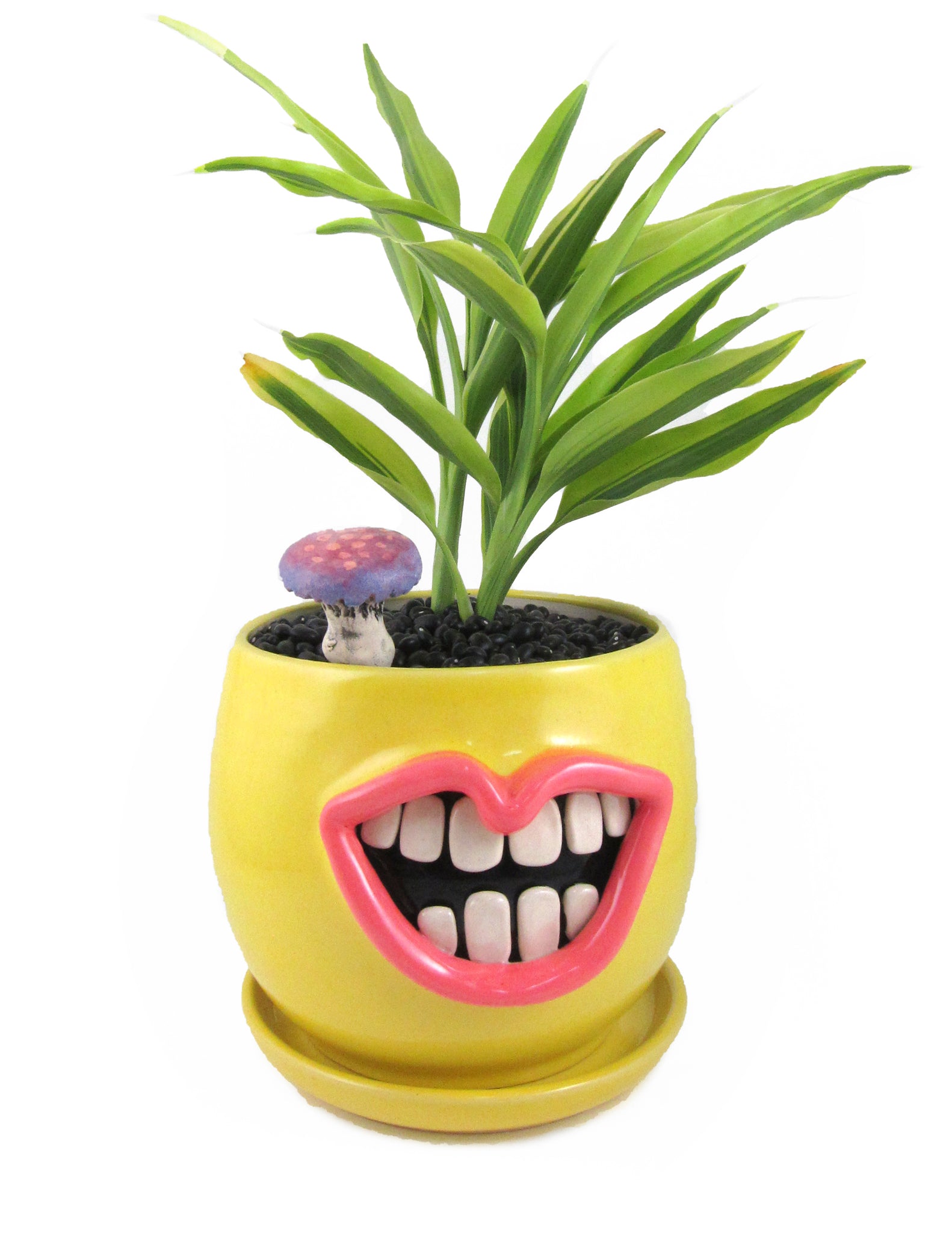 mouth plant pot Yellow mouth Planter – Claybrook Pottery
