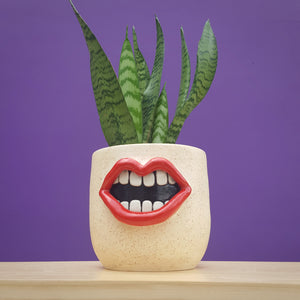 Red Mouth Planter