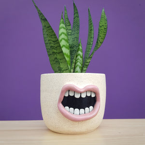 Pink Mouth Planter
